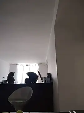 Juann-cock online show from 03-11-26, 02:22