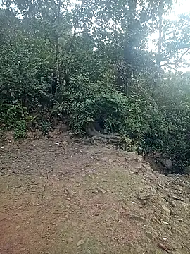 quynhkoolbae online show from 02-21-26, 12:45