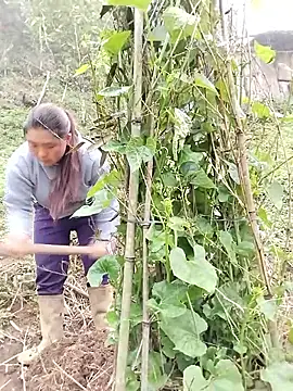 quynhkoolbae online show from 03-21-26, 09:14