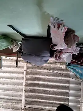 akshant1234 online show from 11-08-25, 05:11