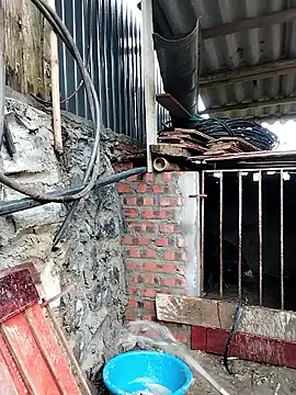 linda bae00 online show from 02-26-26, 12:43