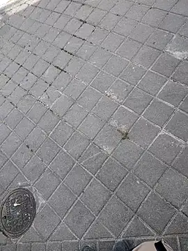 xxxfeo online show from 04-09-26, 12:00