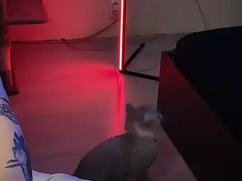 davesinner online show from 03-01-26, 09:42