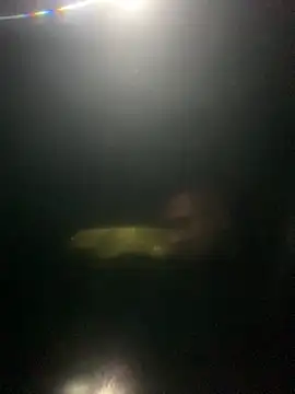 Snapshot of misteriosoa351 chatting on 09-21-25, 10:26 misteriosoa351 online show from 09-21-25, 10:26