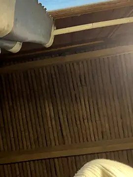 EmLy02 online show from 12-16-25, 10:08