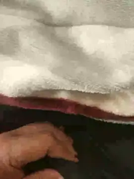 Snapshot of mM0140 chatting on 01-13-26, 08:29 mM0140 online show from 01-13-26, 08:29