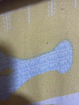 HaltBrand online show from 11-17-25, 12:36