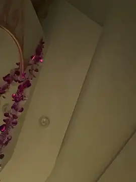 HaltBrand online show from 03-01-26, 09:09