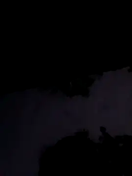 Apkisona8 online show from 11-01-25, 02:22