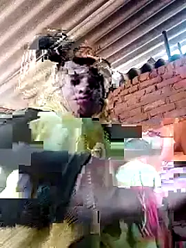 Soniya pandit online show from 09-09-25, 03:49