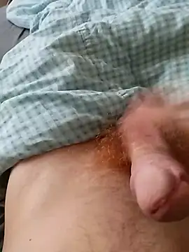 bodrika online show from 02-17-26, 02:58