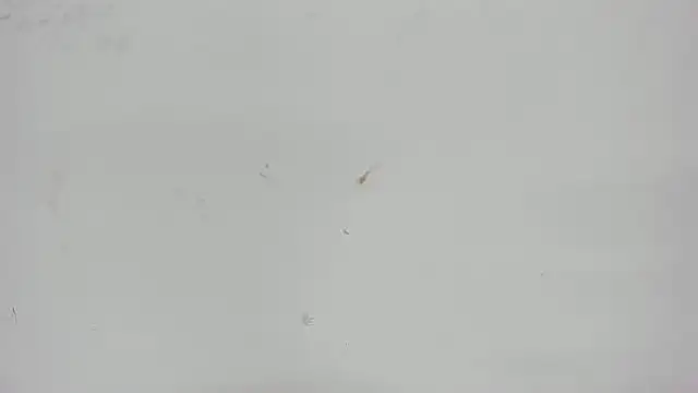 Aisha hotts777 online show from 04-15-26, 03:12