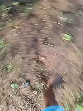 dolphiinn online show from 03-12-26, 02:06