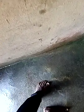 dolphiinn online show from 12-03-25, 01:39