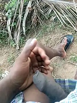 dolphiinn online show from 04-13-26, 02:59