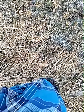 dolphiinn online show from 03-27-26, 01:03