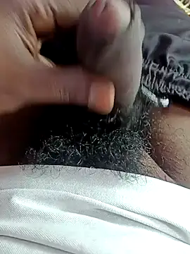 dolphiinn online show from 12-05-25, 04:55