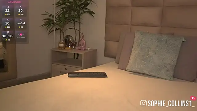 SophieCollins 1 online show from 07-01-26, 11:54