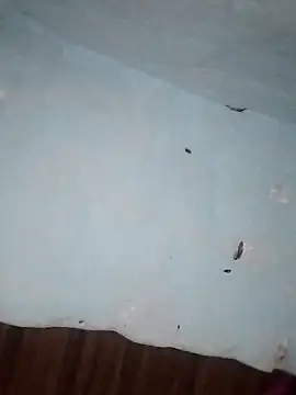 Rakhi j online show from 02-01-26, 02:21