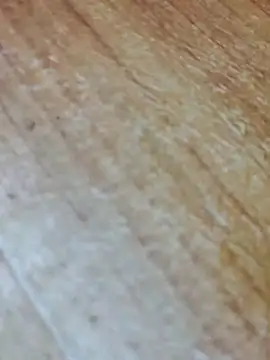 Markroco696 online show from 11-13-25, 05:22