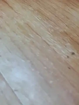 Markroco696 online show from 11-14-25, 04:05