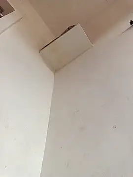 Dikchahot online show from 11-11-25, 10:21