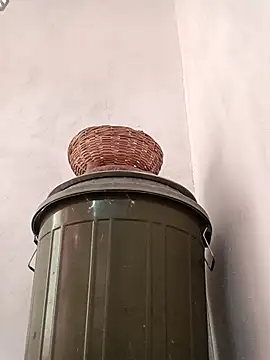 Dikchahot online show from 10-15-25, 01:37