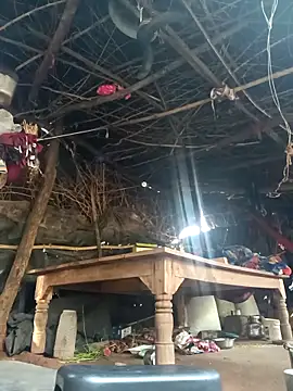 cute diya 12 online show from 11-11-25, 03:23