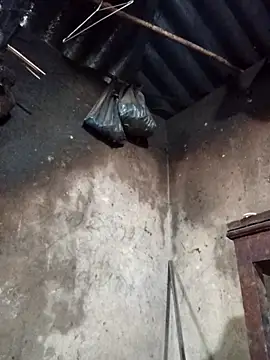  Helala  online show from 02-01-26, 02:54