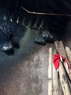  Helala  online show from 02-26-26, 08:36