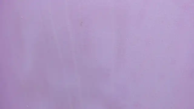 scarlett646 online show from 02-28-26, 03:17