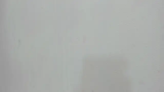 scarlett646 online show from 11-19-25, 03:06