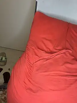 Vikehim online show from 02-10-26, 09:58