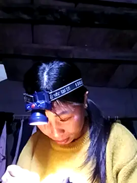 misa 00 online show from 02-08-26, 03:04