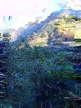 Snapshot of misa_00 chatting on 11-29-25, 01:06 misa 00 online show from 11-29-25, 01:06