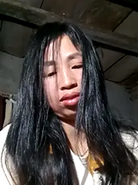 misa 00 online show from 01-31-26, 08:51