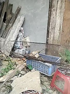 venu00 online show from 04-09-26, 06:30