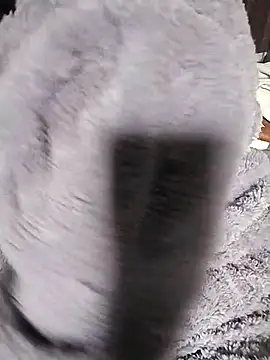 venu00 online show from 02-14-26, 03:29