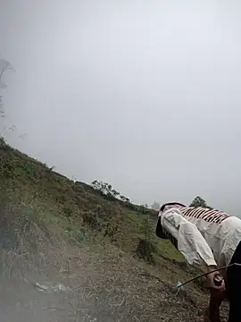 Ngoc-bbi online show from 04-01-26, 01:41