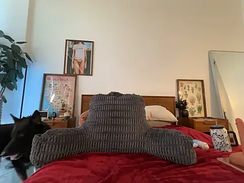 Missbellabree online show from 04-17-26, 08:55