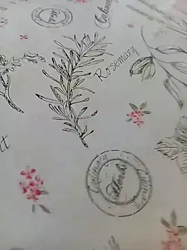 bemmagrinho36 online show from 04-18-26, 12:51