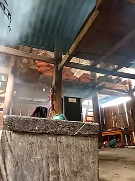 Ngocmi909 online show from 03-02-26, 05:08