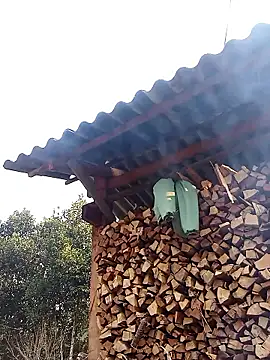 Ngocmi909 online show from 01-13-26, 01:09