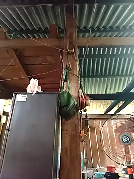 Ngocmi909 online show from 04-15-26, 04:29