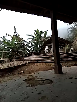 Sa2mh20 online show from 12-05-25, 01:05