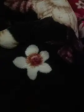 indianshycouple online show from 04-09-26, 10:10