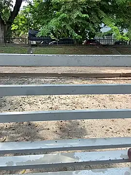 Senurak99 online show from 11-11-25, 08:20