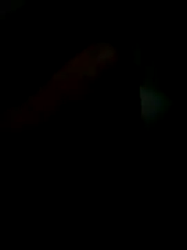 Novindapikgrossa online show from 12-19-25, 11:34