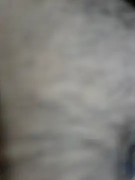 SHIFT1234 online show from 10-02-25, 04:32