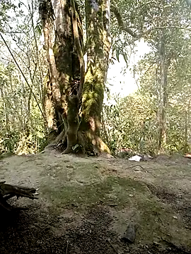 rubi bae online show from 04-07-26, 02:46